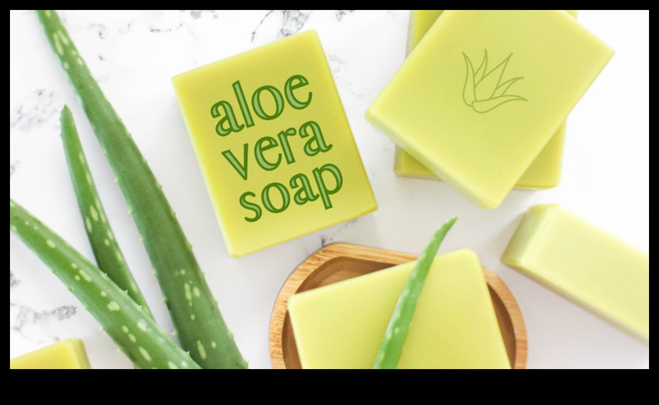 Kendin Yap Aloe Vera Barı: Evde Mükemmel İçeceğinizi Hazırlayın