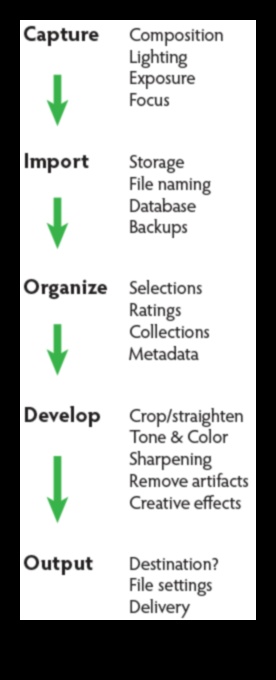 DIY Fotoğraf Düzenleme İş Akışı: Sürecinizi Sizaylaştırma